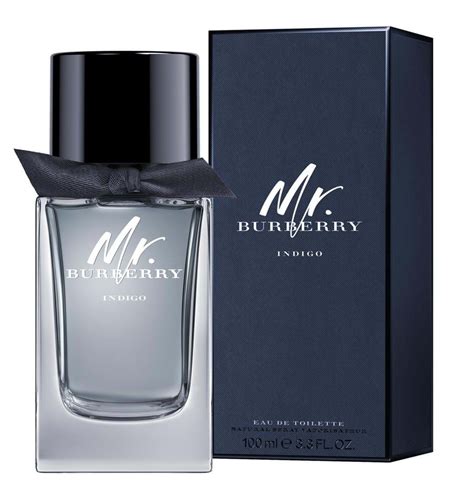 mr burberry ingredients|Burberry cologne for men.